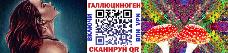 Псилоцибиновые грибы прущие грибы  Кисловодск 