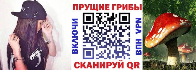 Галлюциногенные грибы MAGIC MUSHROOMS Кисловодск